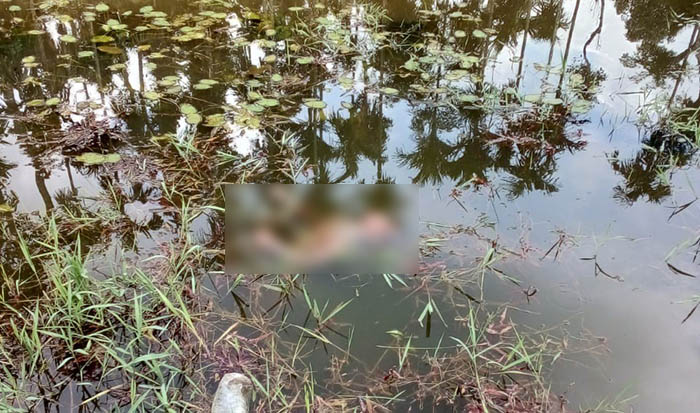 ಮೂಡಿಗೆರೆ: ನಾಪತ್ತೆಯಾಗಿದ್ದ ಬಾಲಕ ಶವವಾಗಿ ಪತ್ತೆ