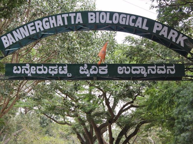 ಅ.6 ರಿಂದ ಮಕ್ಕಳಿಗಾಗಿ ಬನ್ನೇರುಘಟ್ಟದಲ್ಲಿ ’ಝೂ ಕ್ಲಬ್’