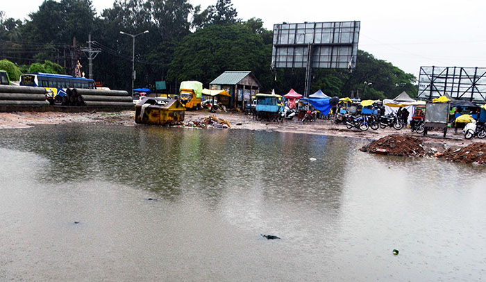 ಮಳೆ ಹಾನಿ: ಪರಿಹಾರ ಕೋರಿ ಶಿವಮೊಗ್ಗದಲ್ಲಿ 10 ಸಾವಿರಕ್ಕೂ ಅಧಿಕ ರೈತರಿಂದ ಅರ್ಜಿ ಸಲ್ಲಿಕೆ