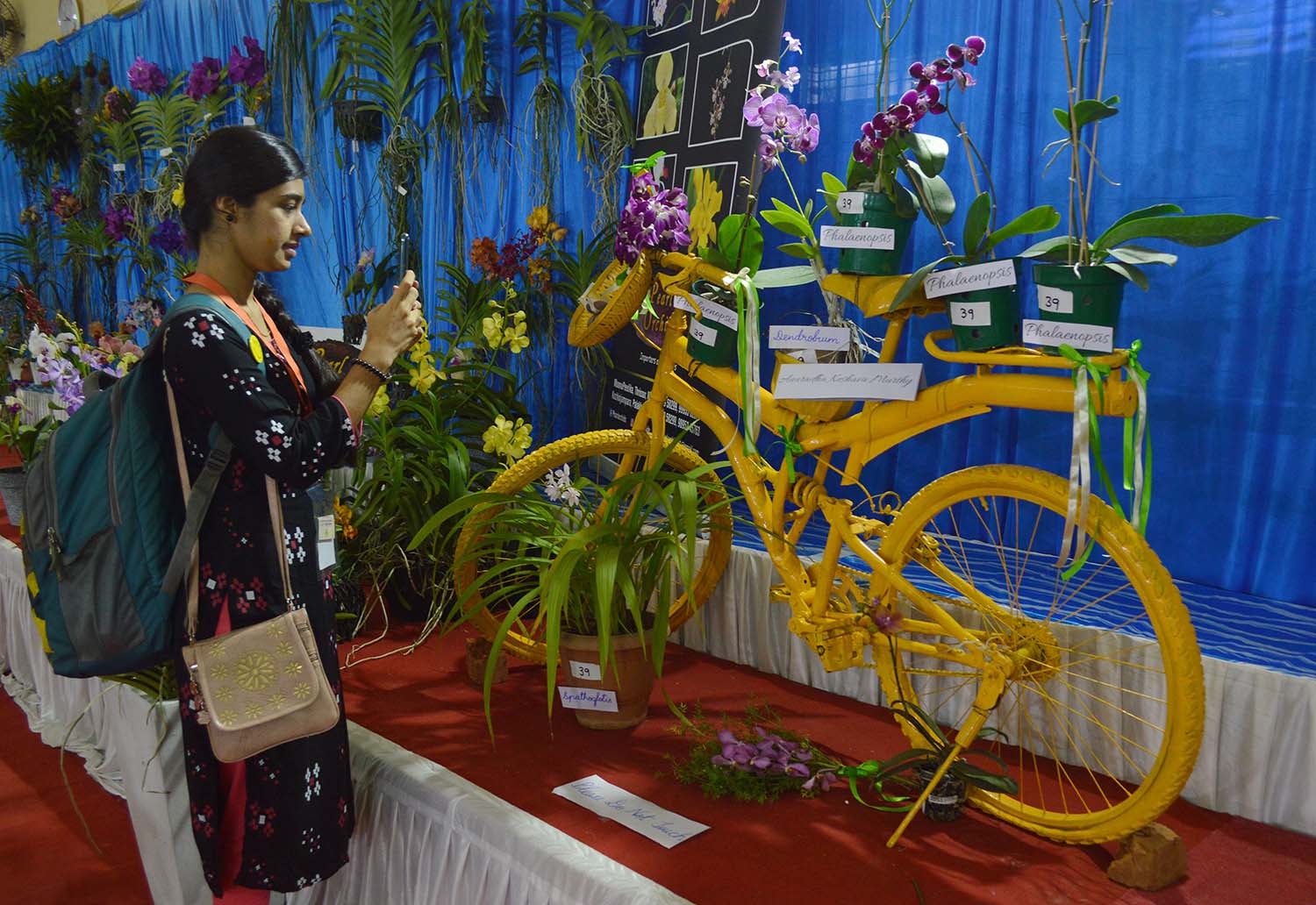 ಬೆಂಗಳೂರು: ಚಿತ್ರಕಲಾ ಪರಿಷತ್‌ನಲ್ಲಿ ಮೂರು ದಿನ ಕಲಾಕೃತಿಗಳ ಕಲರವ