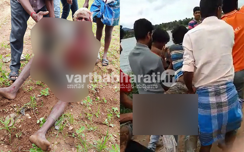 ಬಂಡೀಪುರ: ಆನೆ ದಾಳಿಗೆ ಇಬ್ಬರು ರೈತರ ಸ್ಥಿತಿ ಚಿಂತಾಜನಕ, ಮೂರು ಜಾನುವಾರು ಬಲಿ