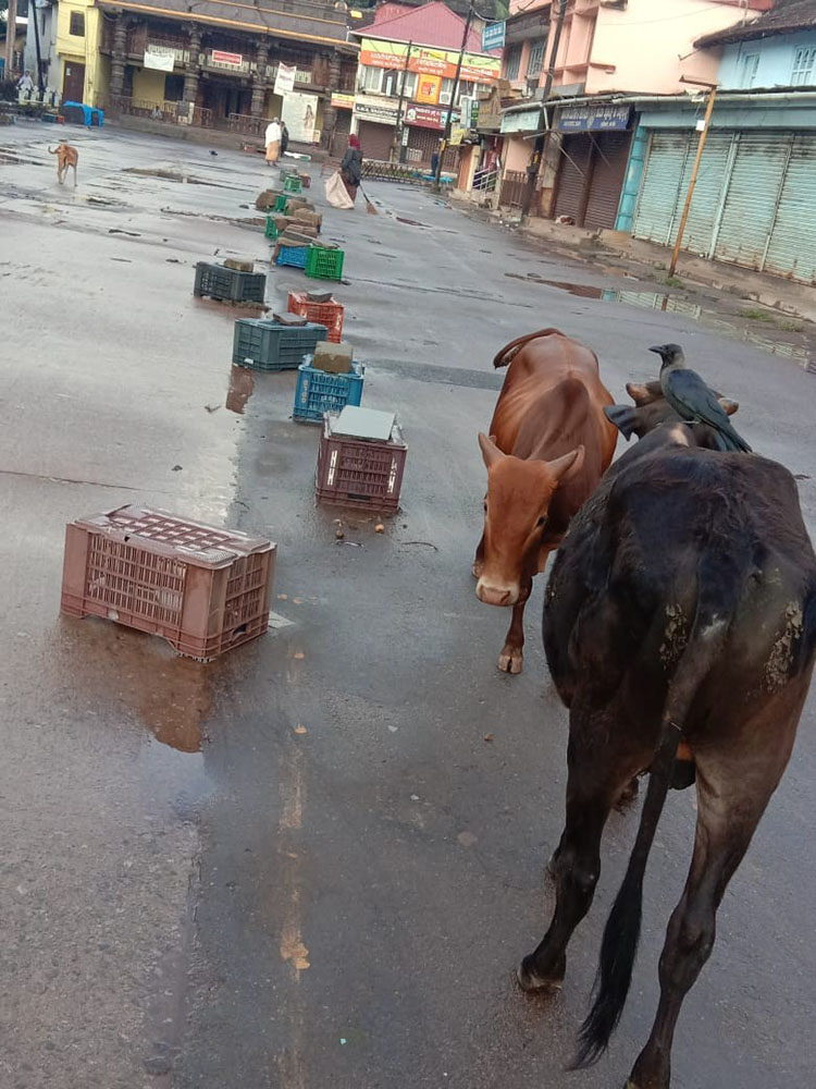 ಉಡುಪಿ: ರಥಬೀದಿಯಲ್ಲಿನ ವ್ಯಾಪಾರಸ್ಥರ ಪೆಟ್ಟಿಗೆ ತೆರವಿಗೆ ಒತ್ತಾಯ