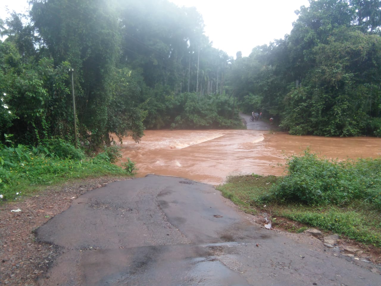 ಭಾರೀ ಮಳೆ: ಚೆಲ್ಯಡ್ಕ  ಸೇತುವೆ ಮುಳುಗಡೆ