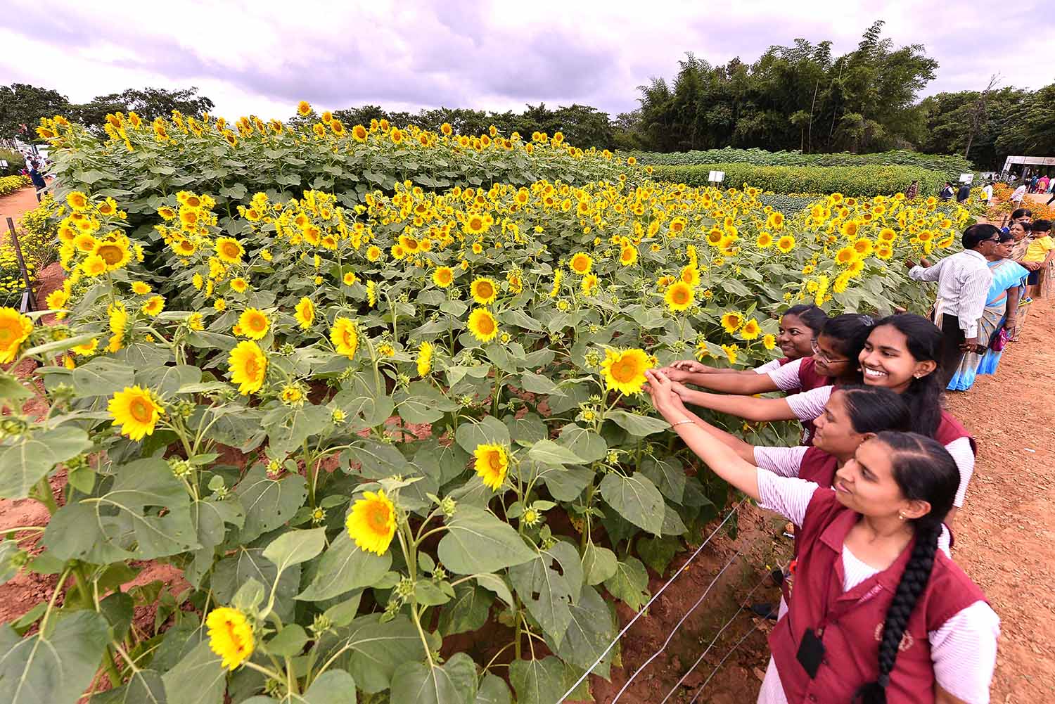 ಕೃಷಿಮೇಳ-2019: ಎರಡನೆ ದಿನವೂ ಹರಿದು ಬಂದ ಜನಸಾಗರ