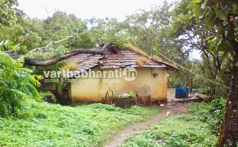 ಕಾಫಿನಾಡಿನಲ್ಲಿ ನಿಲ್ಲದ ಮಳೆ ಆರ್ಭಟ: ಮನೆ ಮೇಲೆ ಮರ ಉರುಳಿ 8 ಕಾರ್ಮಿಕರಿಗೆ ಗಾಯ