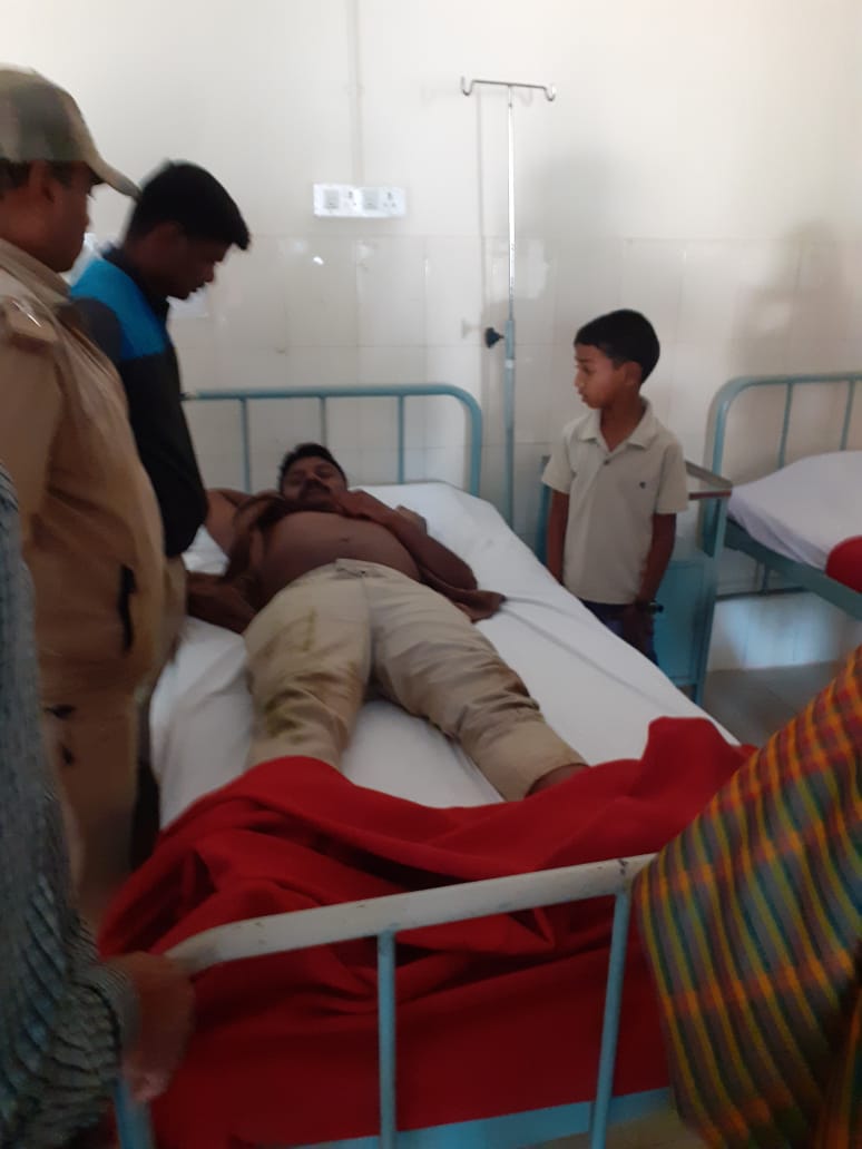 ಮೂಡಿಗೆರೆ: ಕಾಡಾನೆ ದಾಳಿಯಿಂದ ಅರಣ್ಯಾಧಿಕಾರಿಗೆ ಗಂಭೀರ ಗಾಯ