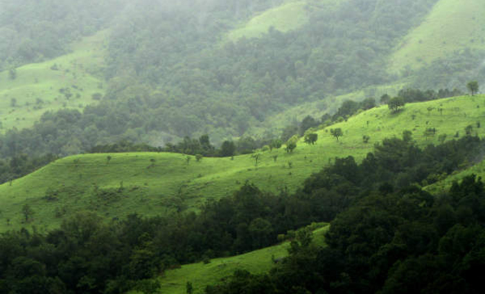 ಪಶ್ಚಿಮ ಘಟ್ಟದಲ್ಲಿ ಮರಳು ಗಣಿಗಾರಿಕೆ: ಕೇಂದ್ರ, ರಾಜ್ಯ ಸರಕಾರಕ್ಕೆ ಹೈಕೋರ್ಟ್ ನೋಟಿಸ್
