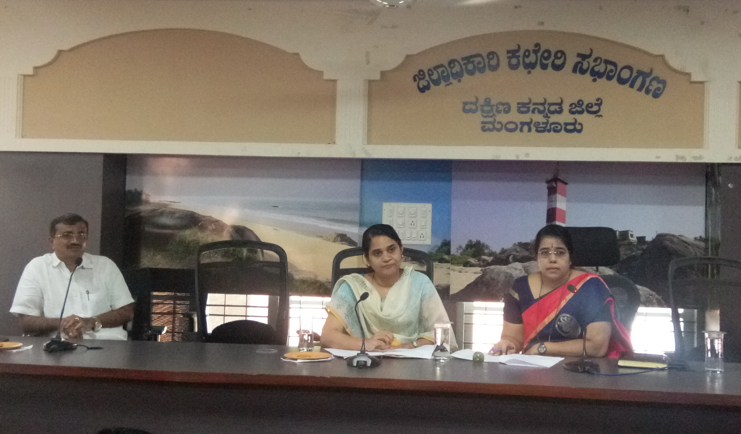 ಕನ್ನಡ ರಾಜ್ಯೋತ್ಸವ ಪೂರ್ವಭಾವಿ ಸಭೆ: ನಾಡಹಬ್ಬ ಆಚರಣೆಗೆ ಸಮನ್ವಯ ಕಾಯ್ದುಕೊಳ್ಳಿ- ಡಿಸಿ