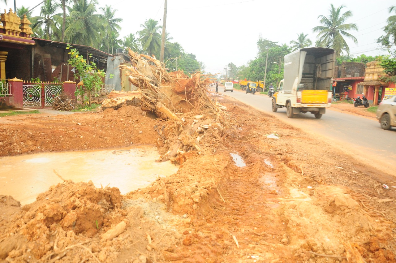 ಬಿ.ಸಿ.ರೋಡು-ಪುಂಜಾಲಕಟ್ಟೆ ಹೆದ್ದಾರಿ ಅಭಿವೃದ್ಧಿ ಕಾಮಗಾರಿ: 1106 ಮರಗಳ ತೆರವಿಗೆ ಅರಣ್ಯ ಇಲಾಖೆ ಅನುಮತಿ