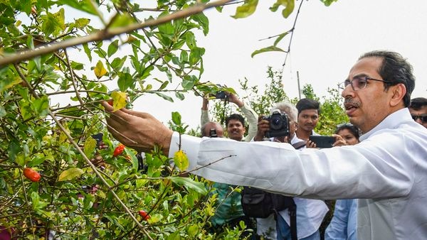 ಮಹಾರಾಷ್ಟ್ರ: ಶಾಸಕರನ್ನು ಹೊಟೇಲ್‌ಗಳಿಗೆ ವರ್ಗಾಯಿಸಿದ ಕಾಂಗ್ರೆಸ್, ಶಿವಸೇನೆ