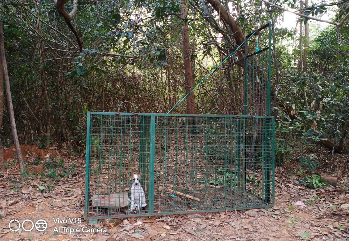 ಚಿರತೆಯ ಸೆರೆಗೆ ಅರಣ್ಯ ಇಲಾಖೆಯಿಂದ ಬೋನು