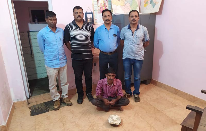 ಆಮೆ ಮಾರಾಟ ಯತ್ನ ಆರೋಪ: ಓರ್ವನ ಬಂಧನ, ಇಬ್ಬರು ಪರಾರಿ