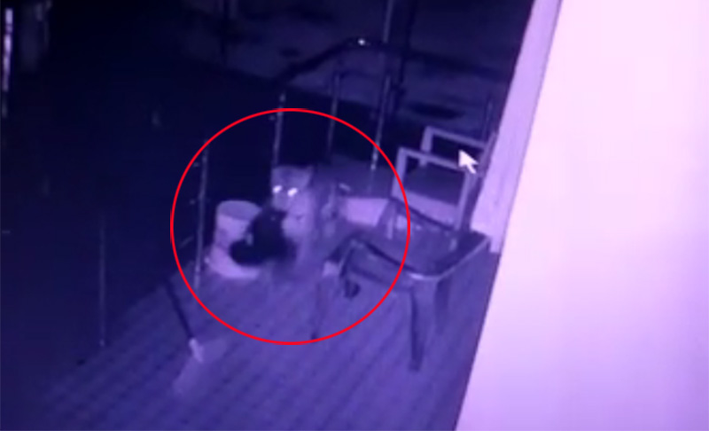 ಹಿರಿಯಡ್ಕ ಪುತ್ತಿಗೆ ಪರಿಸರದಲ್ಲಿ ಚಿರತೆ: ಸ್ಥಳೀಯರಲ್ಲಿ ಆತಂಕ