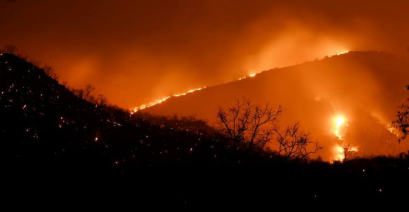 ಅಮೆಝಾನ್ ಕಾಡಿಗೆ ಬೆಂಕಿ ಹಚ್ಚಲು ಈ ಪ್ರಸಿದ್ಧ ನಟ ಹಣ ನೀಡಿದ್ದಾರೆ