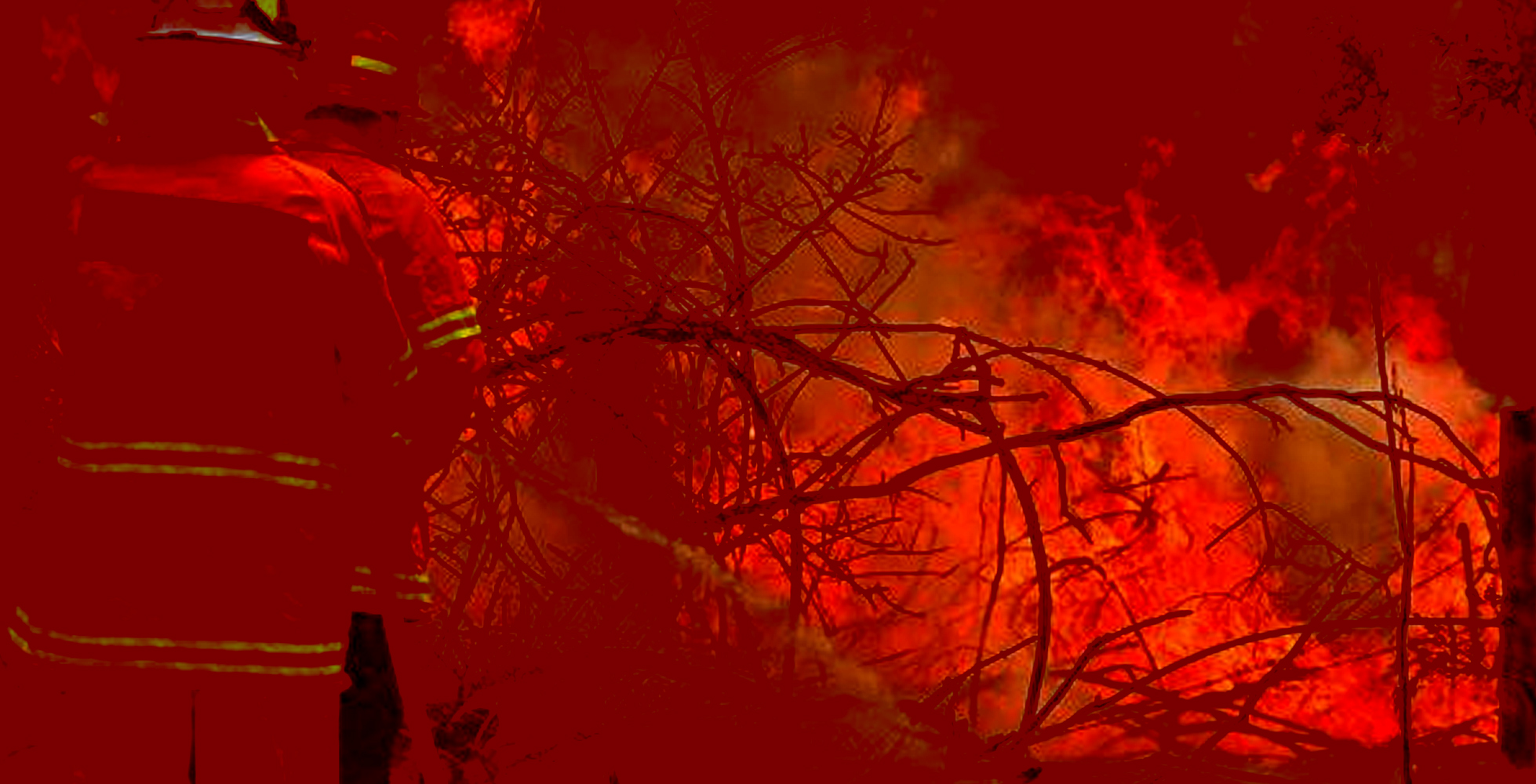 ಕಾಡ್ಗಿಚ್ಚಿಗೆ ಇಬ್ಬರು ಬಲಿ; 150 ಮನೆ ನಾಶ