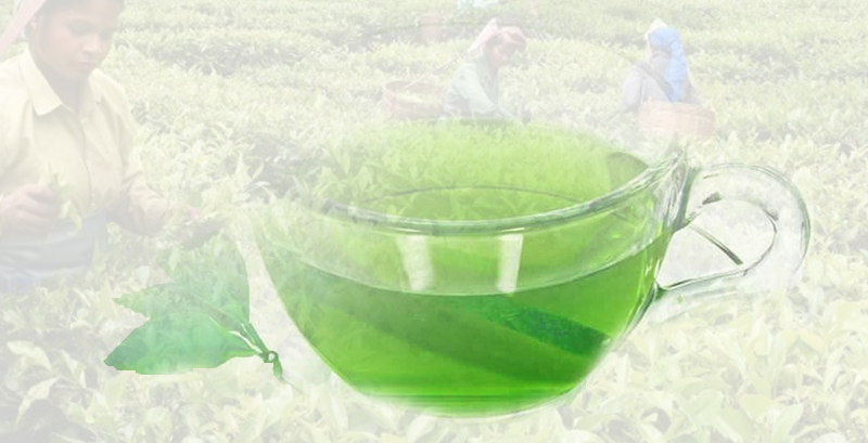 ಗ್ರೀನ್ ಟೀ ಸೇವನೆಯ ಆರೋಗ್ಯಲಾಭಗಳು ಗೊತ್ತೇ?