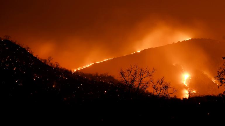 ಕಾಡ್ಗಿಚ್ಚು: ಸಿಡ್ನಿಯಲ್ಲಿ ‘ಸಾರ್ವಜನಿಕ ಆರೋಗ್ಯ ತುರ್ತು ಪರಿಸ್ಥಿತಿ’