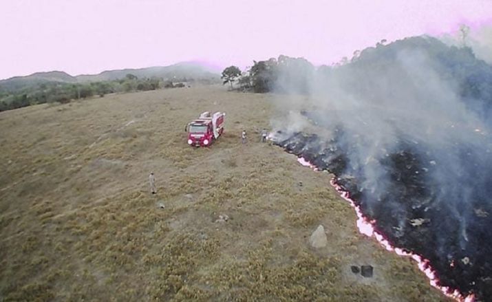 ಅಮೆಝಾನ್ ಬುಡಕಟ್ಟು ಪ್ರದೇಶಗಳಲ್ಲಿ 11 ವರ್ಷಗಳಲ್ಲೇ ಅಧಿಕ ಅರಣ್ಯ ನಾಶ