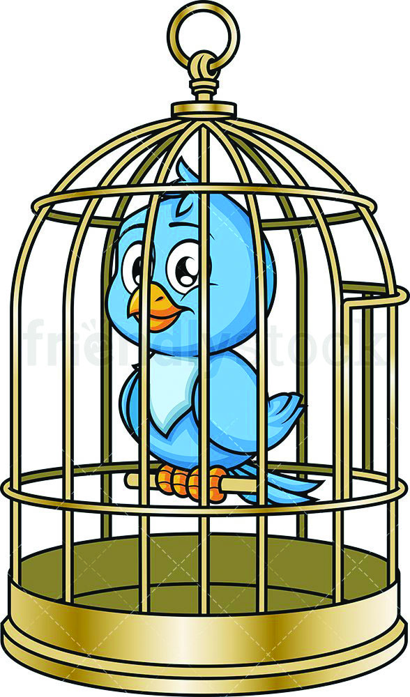 ಬಂಗಾರದ ಪಂಜರ