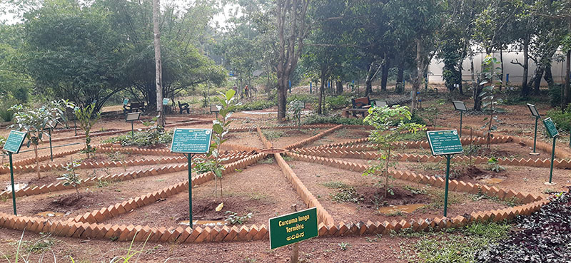 ಔಷಧೀಯ ಸಸ್ಯಗಳ ಸಂರಕ್ಷಣೆಯ ಕಾಳಜಿ ಅನಂತ ಔಷಧಿ ವನ