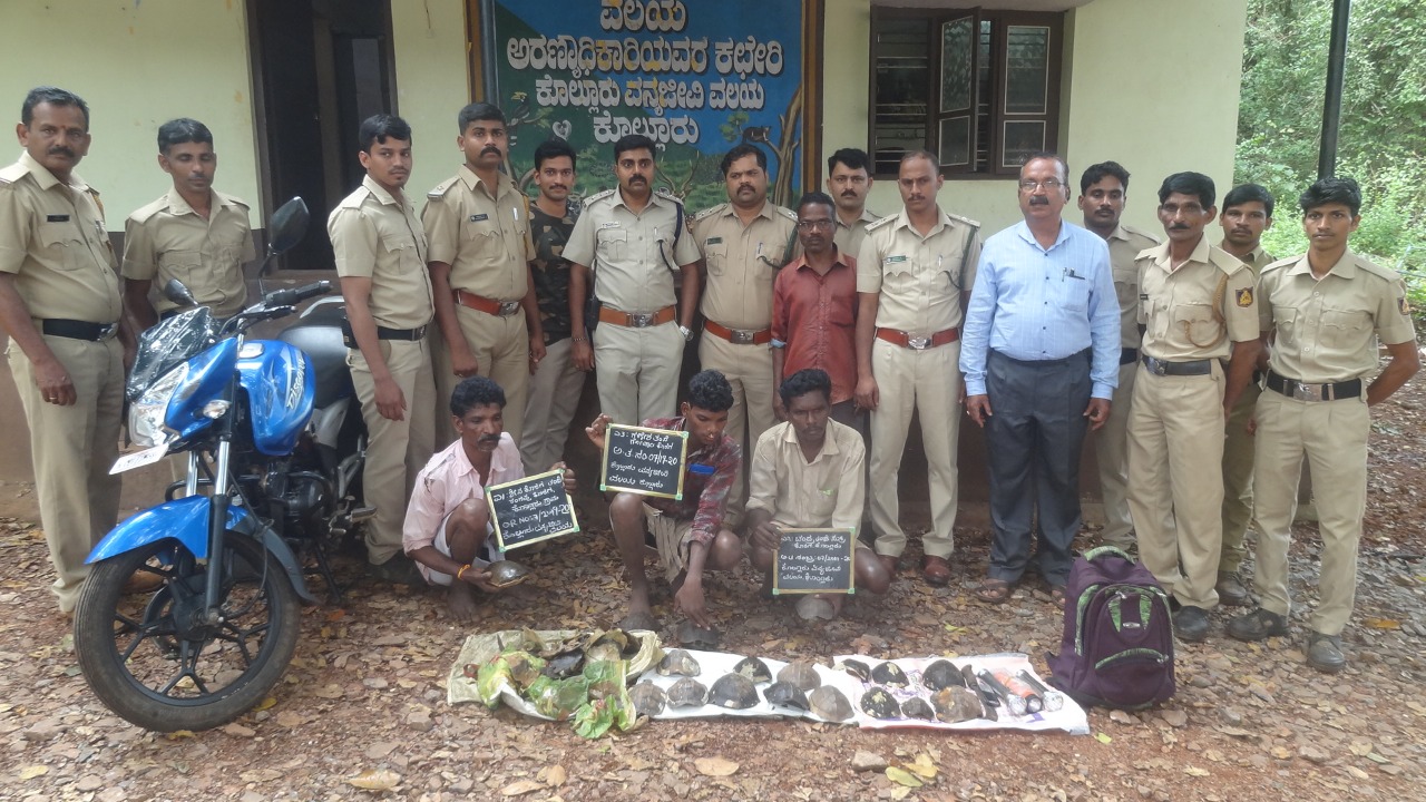 ಆಮೆ ಬೇಟೆ : ಬಾಲಕ ಸಹಿತ ಮೂವರ ಬಂಧನ