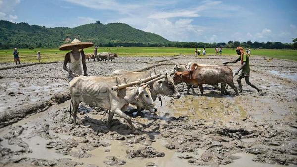 ಆರು ವರ್ಷಗಳಲ್ಲಿ ಗ್ರಾಮೀಣ ಬಡತನ ದರ ಶೇ.4ರಷ್ಟು ಏರಿಕೆಯಾಗಿರುವ ಸಾಧ್ಯತೆ