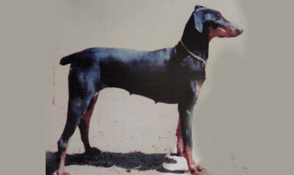 ಹಲವು ಅಪರಾಧ ಪ್ರಕರಣಗಳನ್ನು ಬೇಧಿಸಿದ್ದ ‘ರೂಬಿ’ ಇನ್ನಿಲ್ಲ