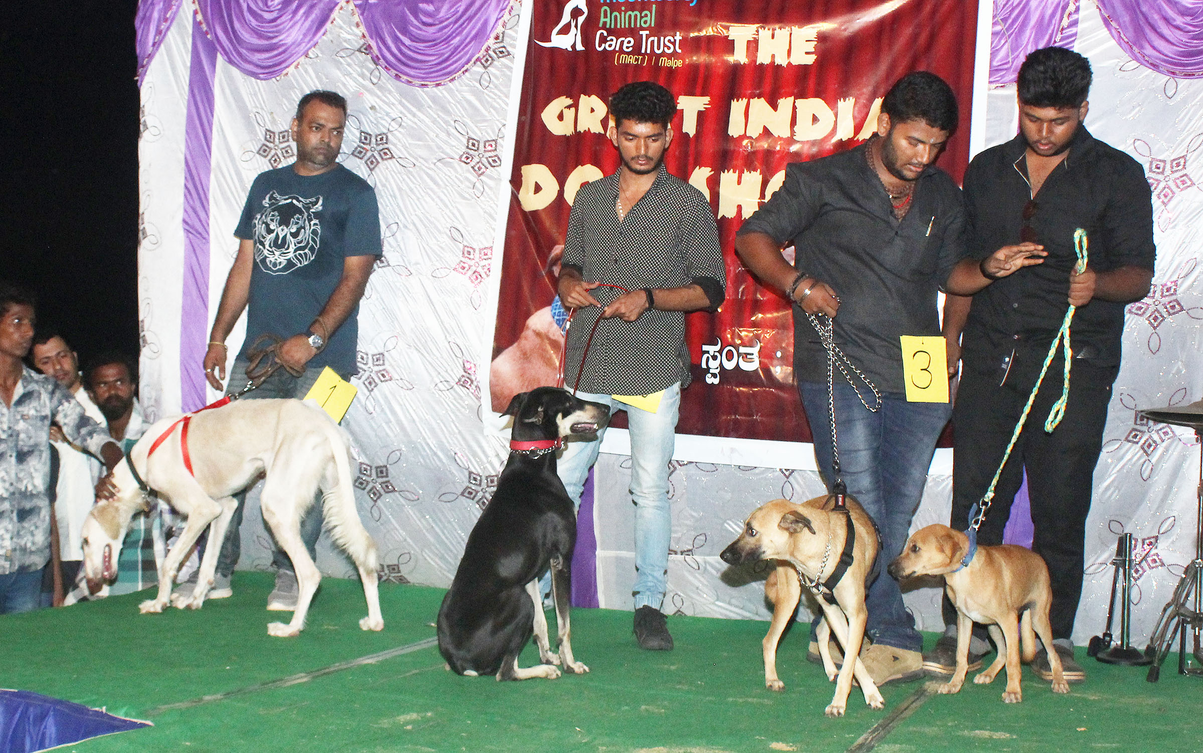 ಮಲ್ಪೆ ಬೀಚ್‌ನಲ್ಲಿ ಬೀದಿ, ದೇಶಿ ಶ್ವಾನಗಳ ಪ್ರದರ್ಶನ