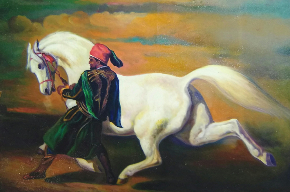 ರಾಯರ ಕುದುರೆ ಕತ್ತೆ ಆಯ್ತು..!!?