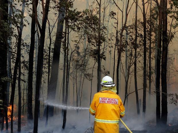 ಆಸ್ಟ್ರೇಲಿಯದ ಕಾಡ್ಗಿಚ್ಚು ಆವೃತ ಪ್ರದೇಶಗಳಲ್ಲಿ ಭಾರೀ ಮಳೆ