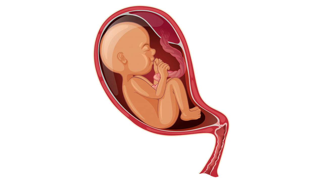 ಅರಳುವ ಮುನ್ನ ಬಾಡುತ್ತಿವೆ ಕಂದಮ್ಮಗಳು...