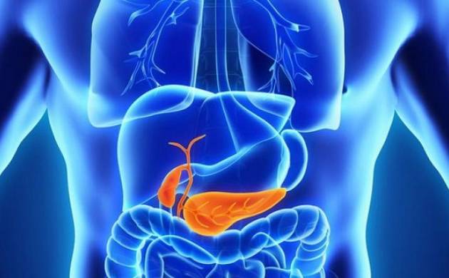 ಮೇದೋಜ್ಜೀರಕ ಗ್ರಂಥಿಯ ಆರೋಗ್ಯ ಕಾಯ್ದುಕೊಳ್ಳಲು ಈ ಟಿಪ್ಸ್ ಅನುಸರಿಸಿ