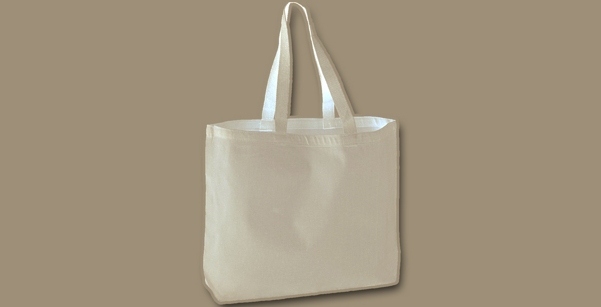 ಕ್ಯಾರಿ ಬ್ಯಾಗ್ ಗೆ 12 ರೂ. ವಿಧಿಸಿದ ಶಾಪಿಂಗ್ ಮಾಲ್ ಗೆ 5 ಲಕ್ಷ  ರೂ. ದಂಡ!