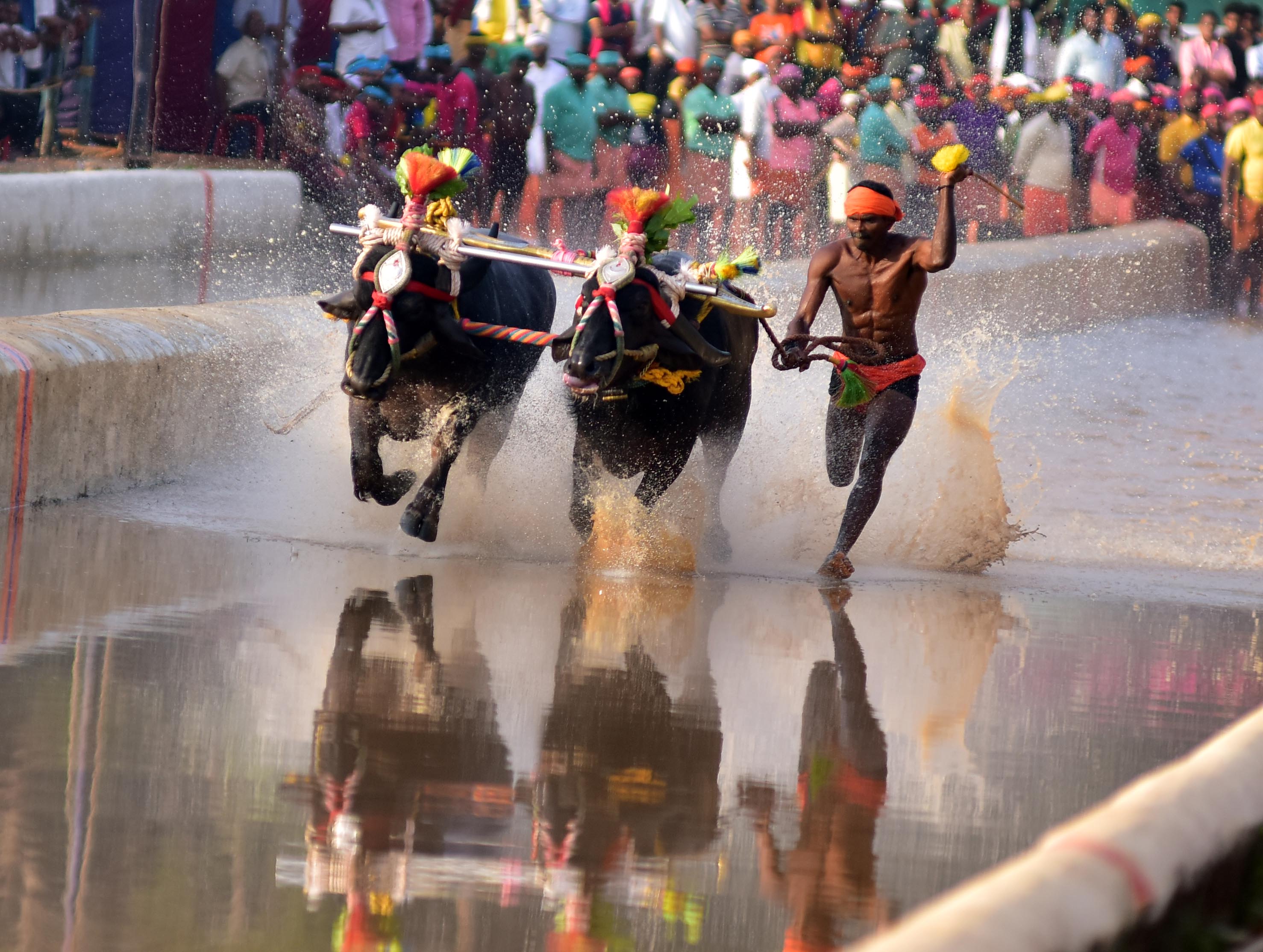ಮಂಗಳೂರು: ಹೊನಲು ಬೆಳಕಿನ ಕಂಬಳಕ್ಕೆ ಚಾಲನೆ