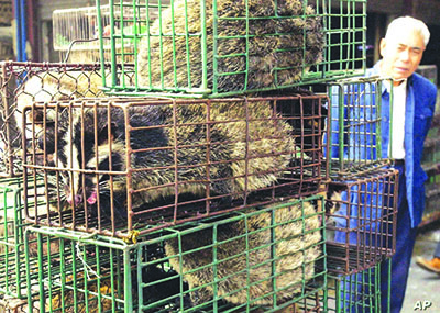 ವೂಹಾನ್ ಕಾಡುಪ್ರಾಣಿಗಳ ಮಾರಾಟ ಮಳಿಗೆ ಕೊರೋನ ವೈರಸ್‌ನ ಉಗಮಸ್ಥಾನ?