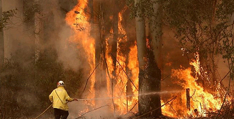 ಆಸ್ಟ್ರೇಲಿಯ: ಬಿಸಿ ವಾತಾವರಣ; ಮತ್ತೆ ವಿಜೃಂಭಿಸಿದ ಕಾಡ್ಗಿಚ್ಚು