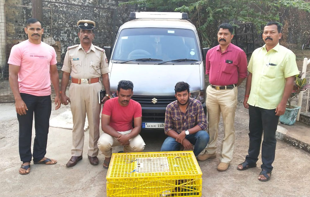 ಪುನುಗು ಬೆಕ್ಕು ಅಕ್ರಮ ಸಾಗಾಟ: ಇಬ್ಬರ ಬಂಧನ