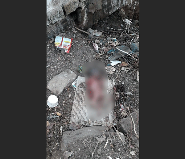 ಹನೂರು: ಬಸ್ ನಿಲ್ದಾಣದ ಬಳಿ ನವಜಾತ ಶಿಶು ಪತ್ತೆ