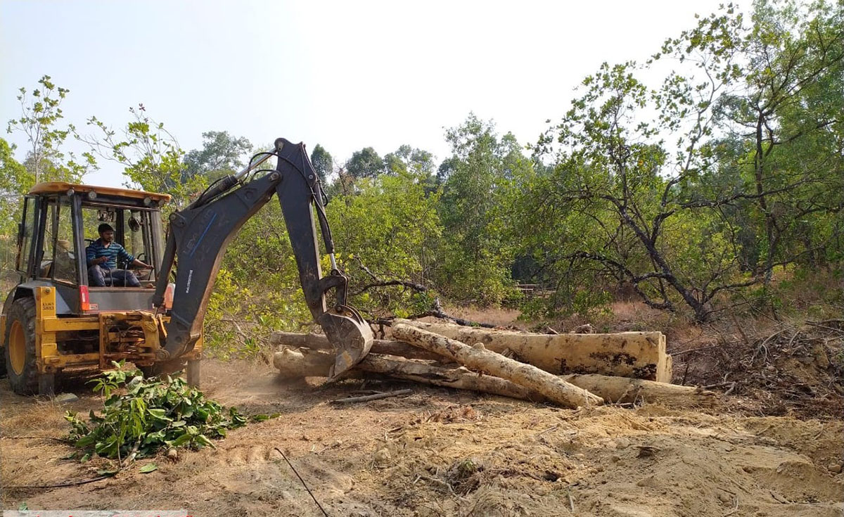 ಮಣ್ಣಿನಡಿ ಅಕ್ರಮವಾಗಿ ಹೂತಿಟ್ಟ 87 ಮರದ ದಿಮ್ಮಿಗಳು ವಶ