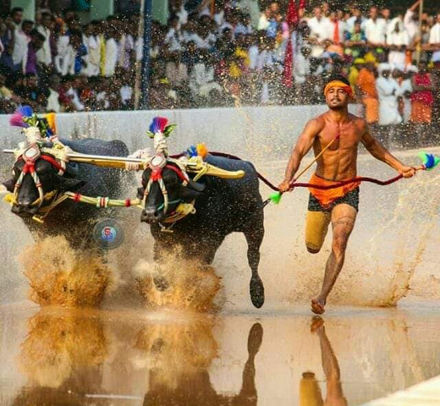 ​ಕಂಬಳ: ಹೊಸ ದಾಖಲೆ ನಿರ್ಮಿಸಿದ ನಿಶಾಂತ್ ಶೆಟ್ಟಿ