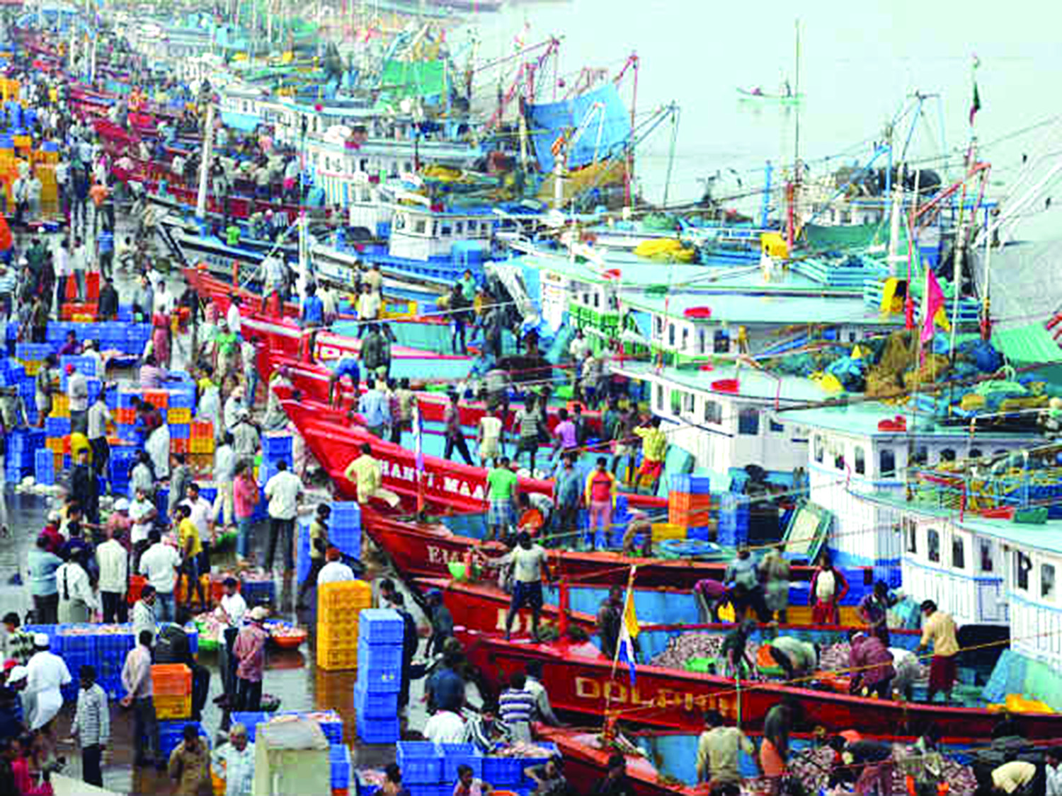 ಮಂಗಳೂರಿನಲ್ಲಿ ಮೀನಿಗೆ ಮತ್ತೆ ಬರ!