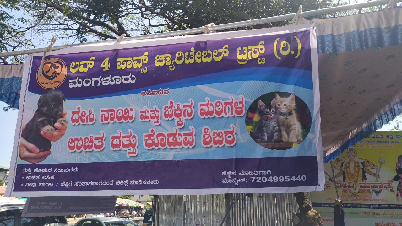 ಬೀದಿ ಪಾಲಾಗುವ ಪ್ರಾಣಿಗಳಿಗೆ ಹೀಗೊಂದು ಆಸರೆ
