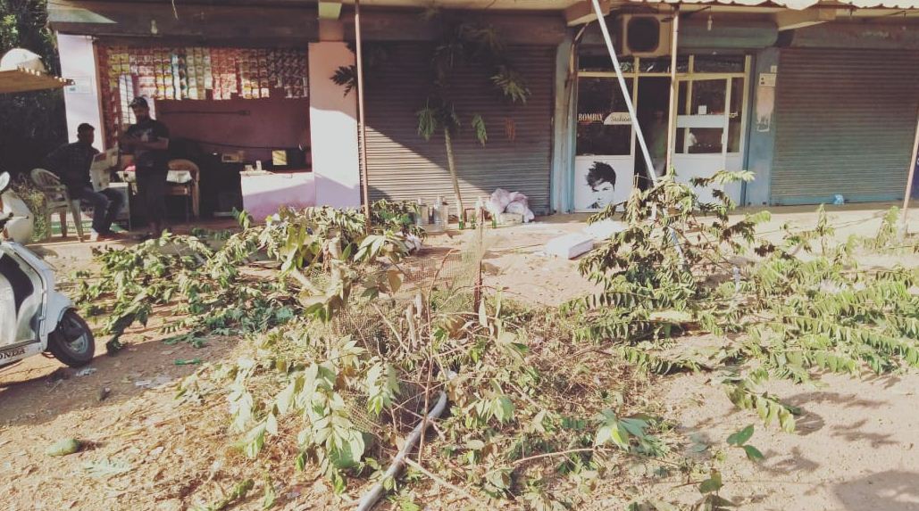 ಶಿವರಾತ್ರಿಯಂದು ಕಿಡಿಗೇಡಿಗಳ ಪುಂಡಾಟ: ದೈವಕ್ಕೆ ಮೊರೆ