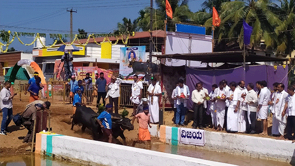 ಜಪ್ಪಿನಮೊಗರು: ‘ಜಯ-ವಿಜಯ’ ಜೋಡುಕರೆ ಕಂಬಳ ಉದ್ಘಾಟನೆ