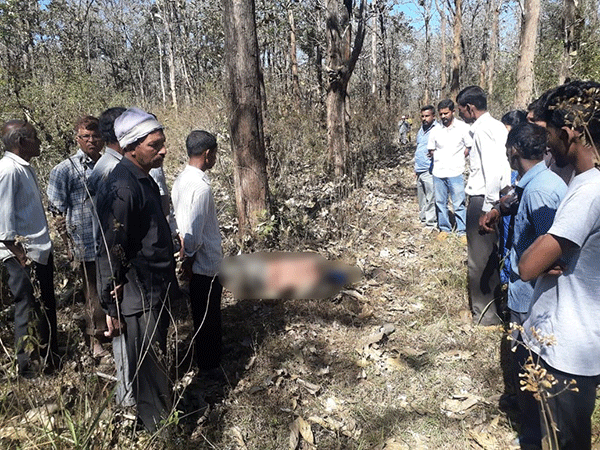 ಸಿದ್ದಾಪುರ: ಕಾಡಾನೆ ದಾಳಿಗೆ ಕಾಫಿ ಬೆಳೆಗಾರ ಬಲಿ