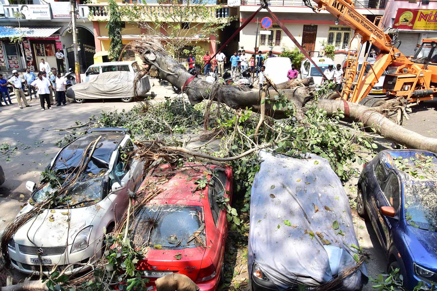 ನೆಲಕ್ಕುರಿಳಿದ ಆಲದ ಮರ: ಆರು ಕಾರು ಜಖಂ