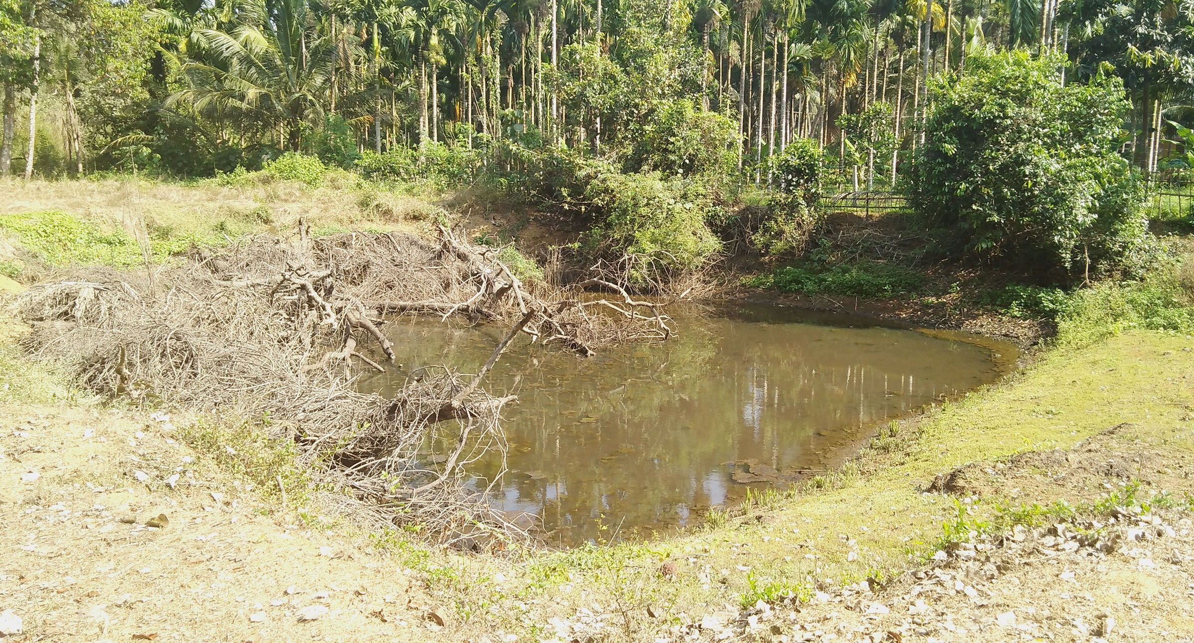 ಪರ್ಕಳ ಪರಿಸರದಲ್ಲಿ ಮತ್ತೆ ಒರತೆ ನೀರು: ತುಂಬಿದ ಕೆರೆ, ಬಾವಿಗಳು