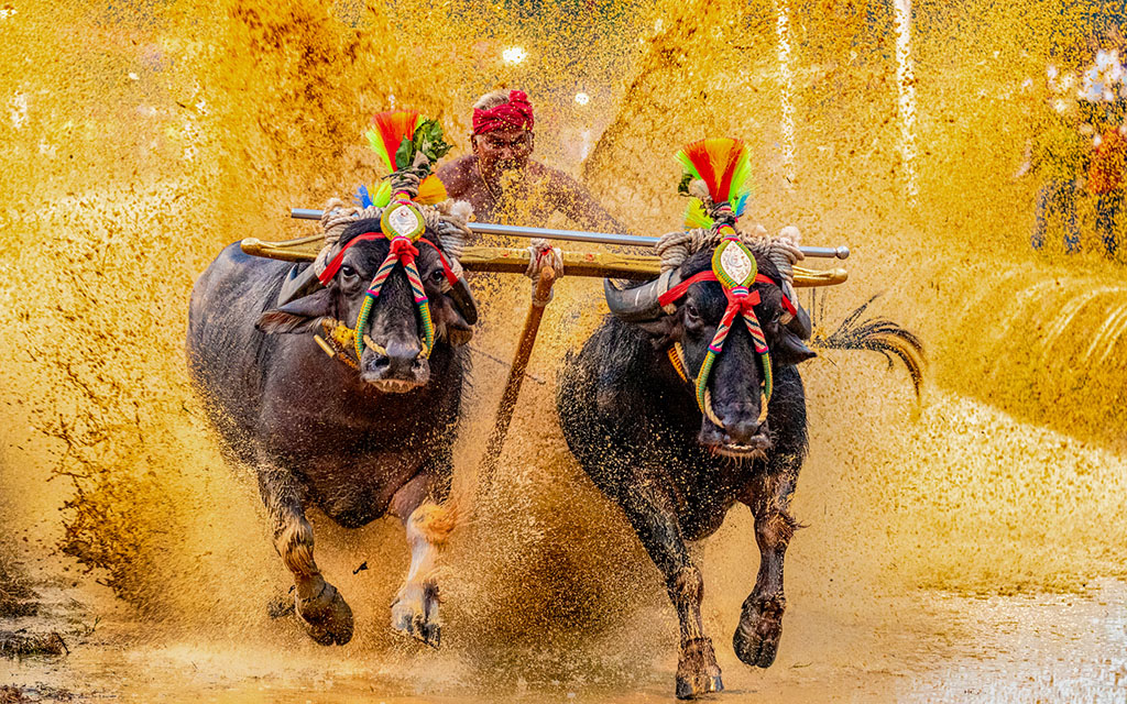 ಆಸ್ಟ್ರೋ ಮೋಹನ್ ಛಾಯಾಚಿತ್ರಕ್ಕೆ ಚಿನ್ನದ ಪದಕ
