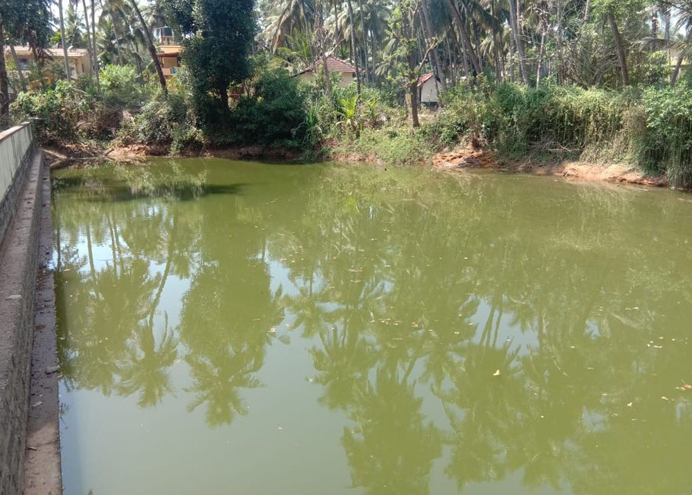 ಚಿಟ್ಪಾಡಿಯ ಮಜಲ ಕೆರೆ ಅಭಿವೃದ್ಧಿಗೆ ಸ್ಥಳೀಯರ ಆಗ್ರಹ