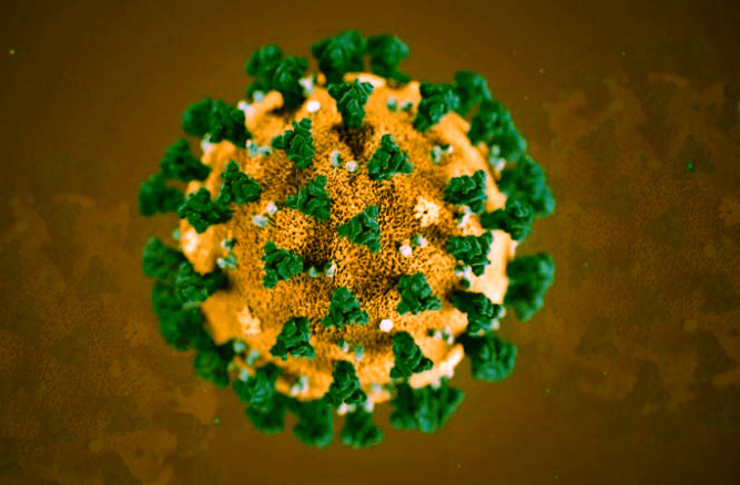 ಕೊರೋನ ವೈರಸ್ ಸೋಂಕಿತ ಧಾರವಾಡದ ವ್ಯಕ್ತಿಯ ಪ್ರಯಾಣದ ಮಾಹಿತಿ ಬಿಡುಗಡೆ